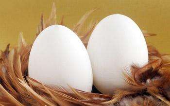 孕妇吃鹅蛋真的可以清胎毒吗
