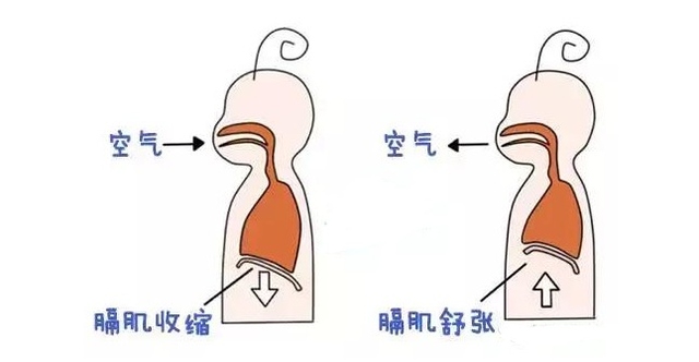 如何快速让宝宝停止打嗝？